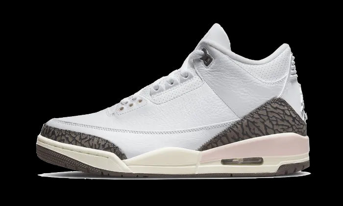 Air Jordan 3 Dark Mocha Neapolitan PANORAMA