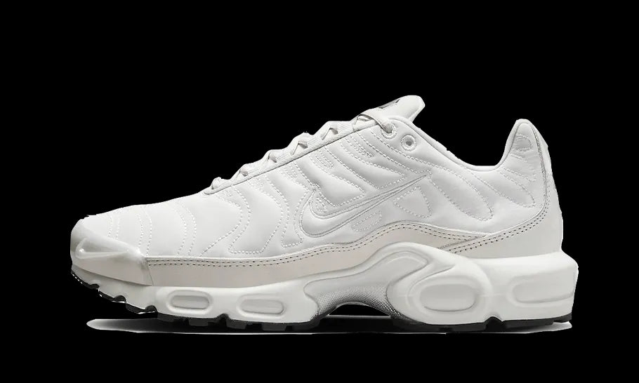 Nike Air Max Plus Reflective Platinum PANORAMA